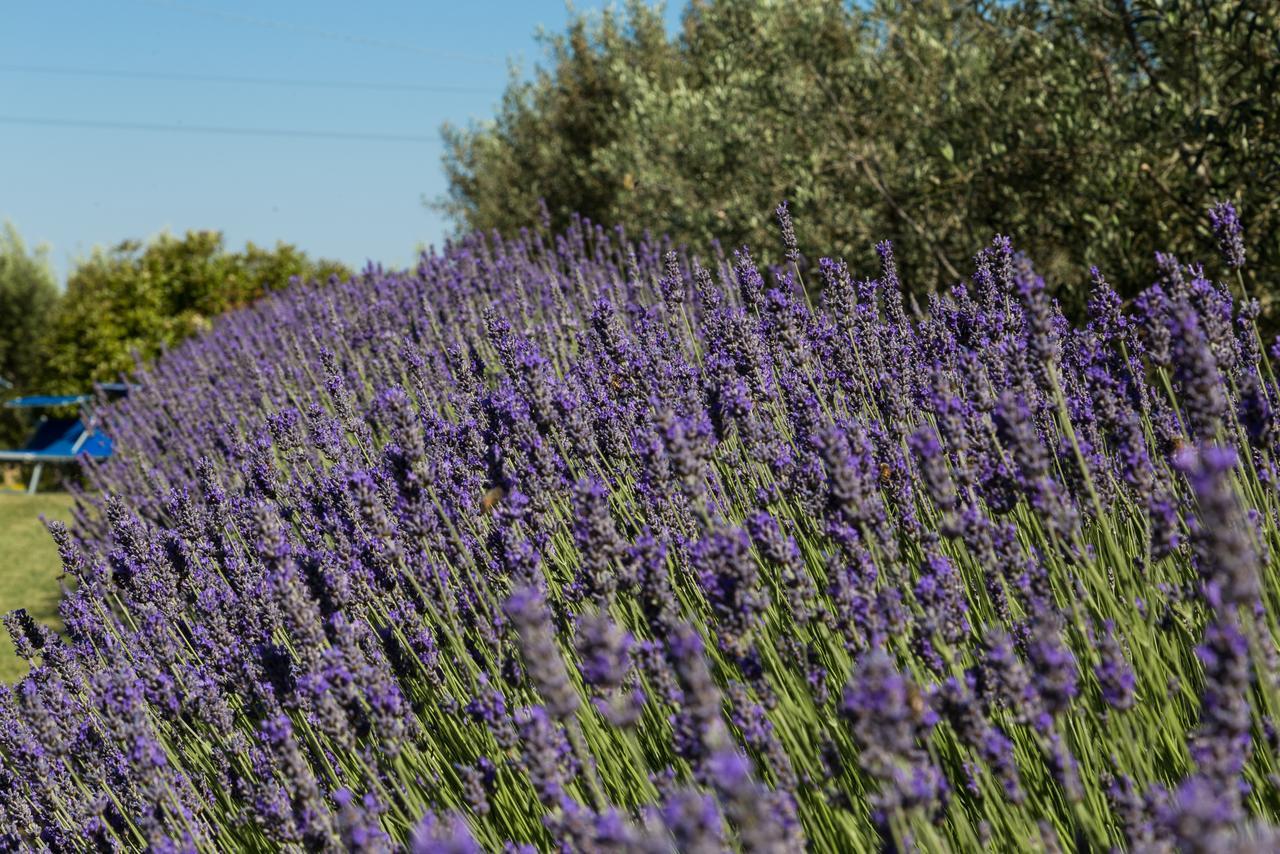 Villa San Bartolomeo Montepulciano Stazione エクステリア 写真
